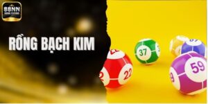 Rồng Bạch Kim - Gợi Ý Số Đẹp, Vào Bờ Không Khó