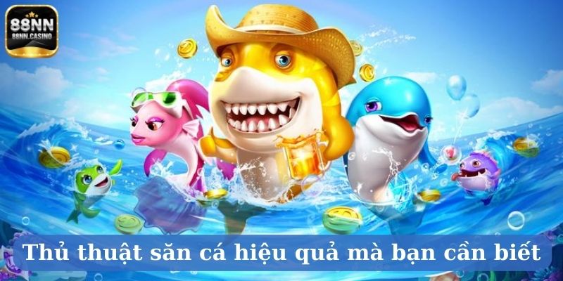 Thủ thuật săn cá hiệu quả mà bạn cần biết